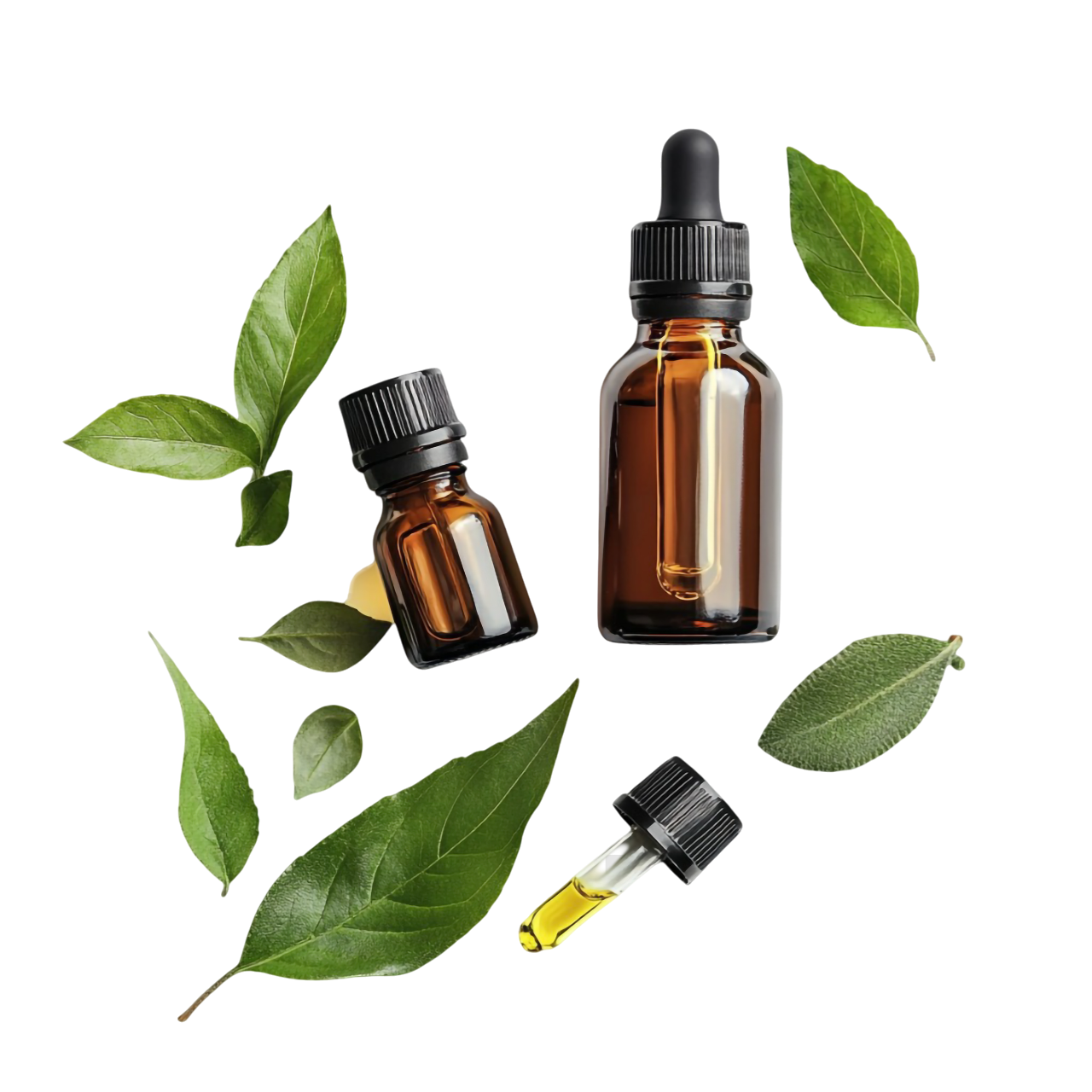 homoeopathy